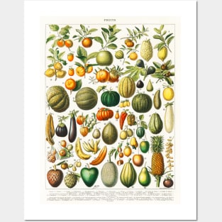 Fruits Posters and Art